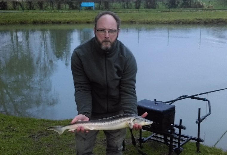 Pêche en étang camping Pas de Calais