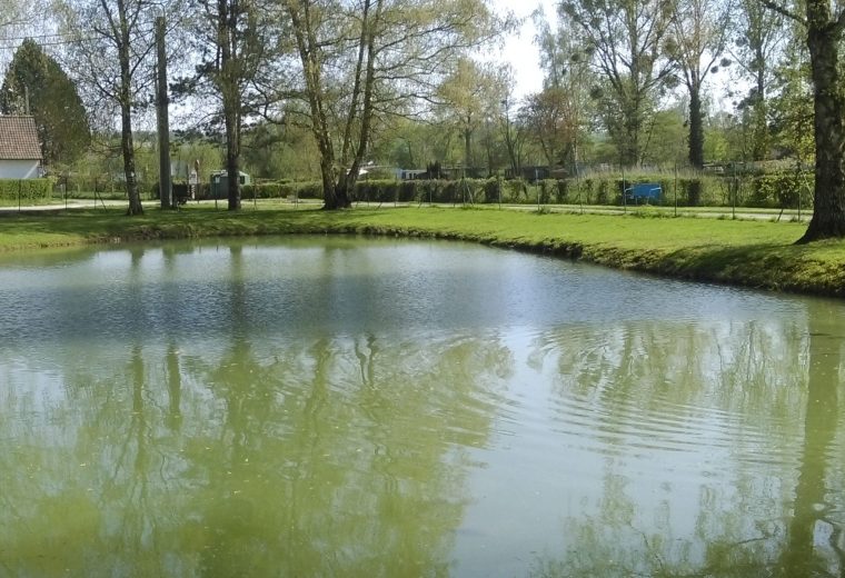 Camping Pas de Calais avec un étang pour pêcher