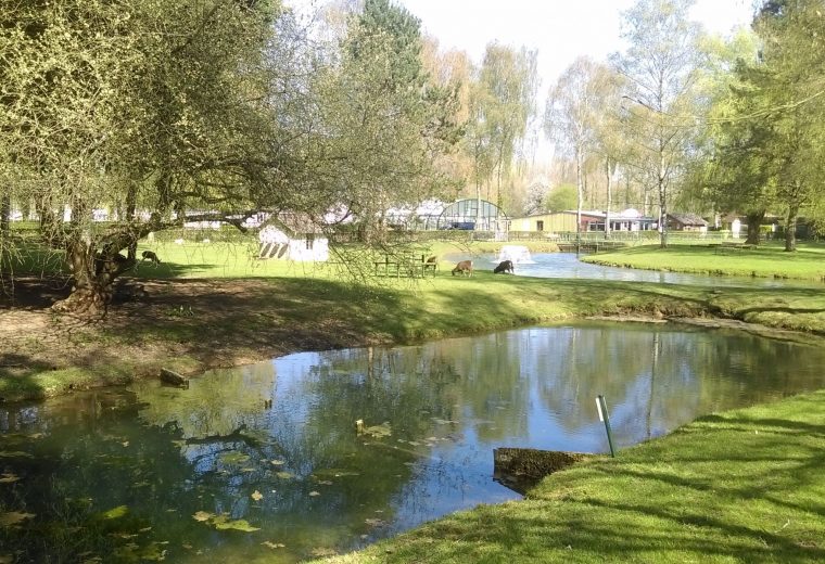 Camping Pas de Calais avec étang pour la pêche